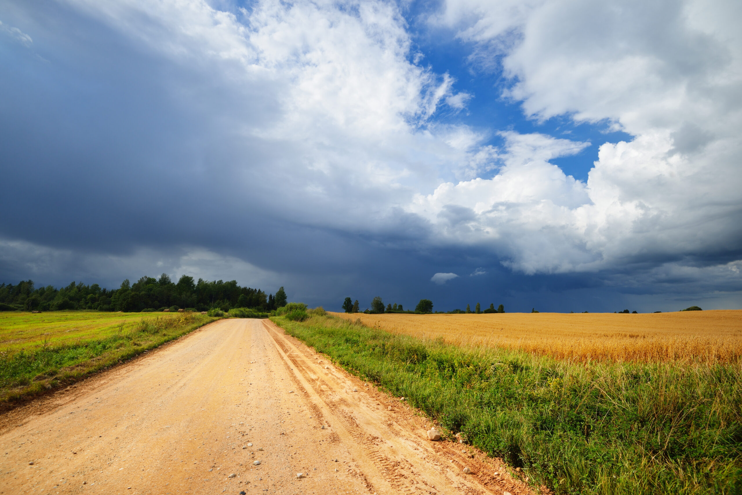 Intercity Outstation Cab Service 117 Road and cereal field against dark stormy clouds