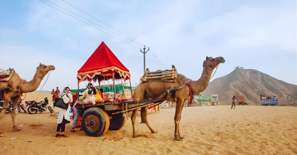Jaipur to Pushkar cab service passing through Rajasthan desert route