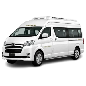 Traveller Maharaja Luxury